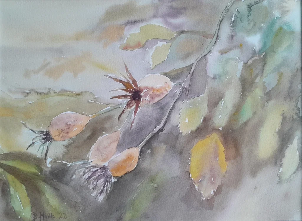 Dzika róża, Bożena Mańk