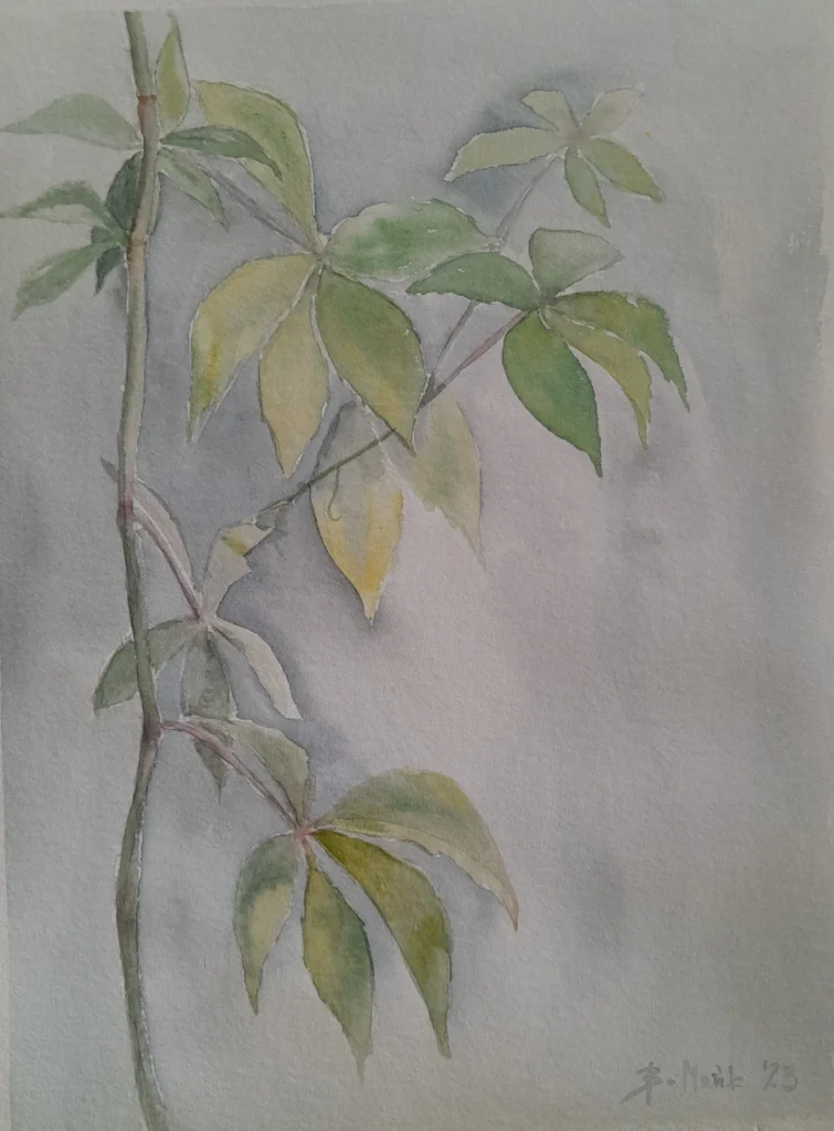 akwarela Dzikie wino wiosną, 2023 Bożena Mańk