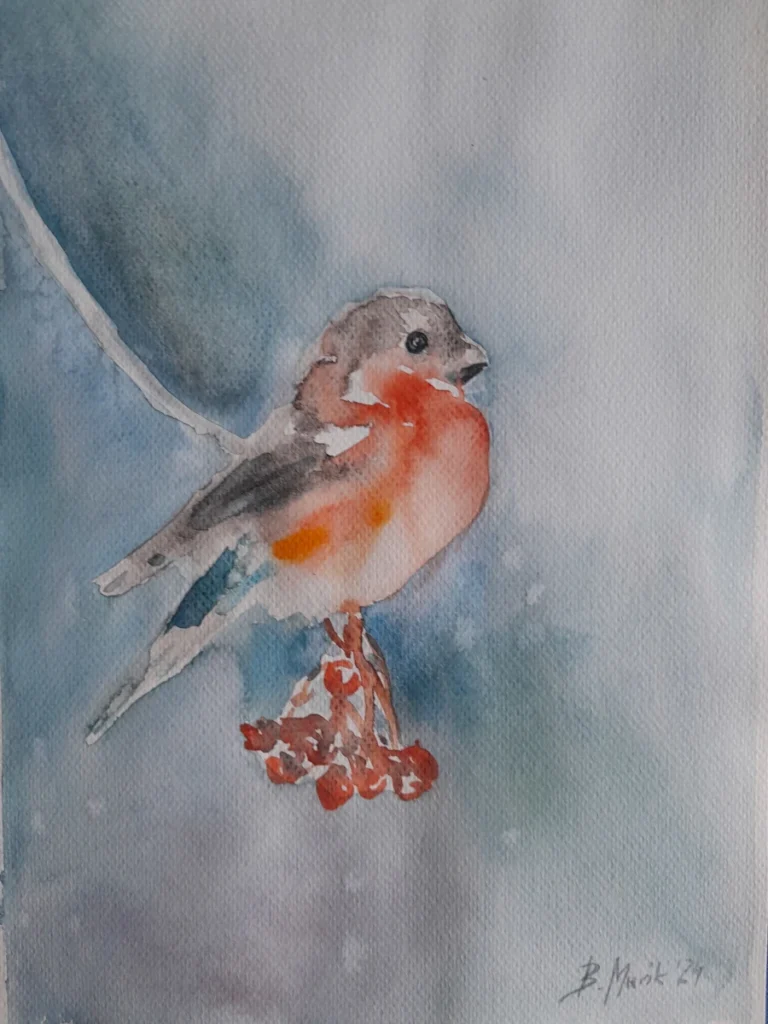 akwarela Gil, 2024 Bożena Mańk