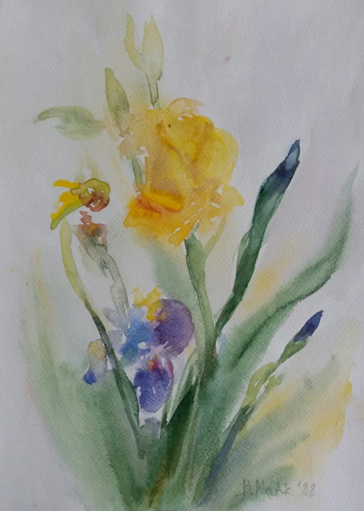 akwarela Irysy, 2022 Bożena Mańk