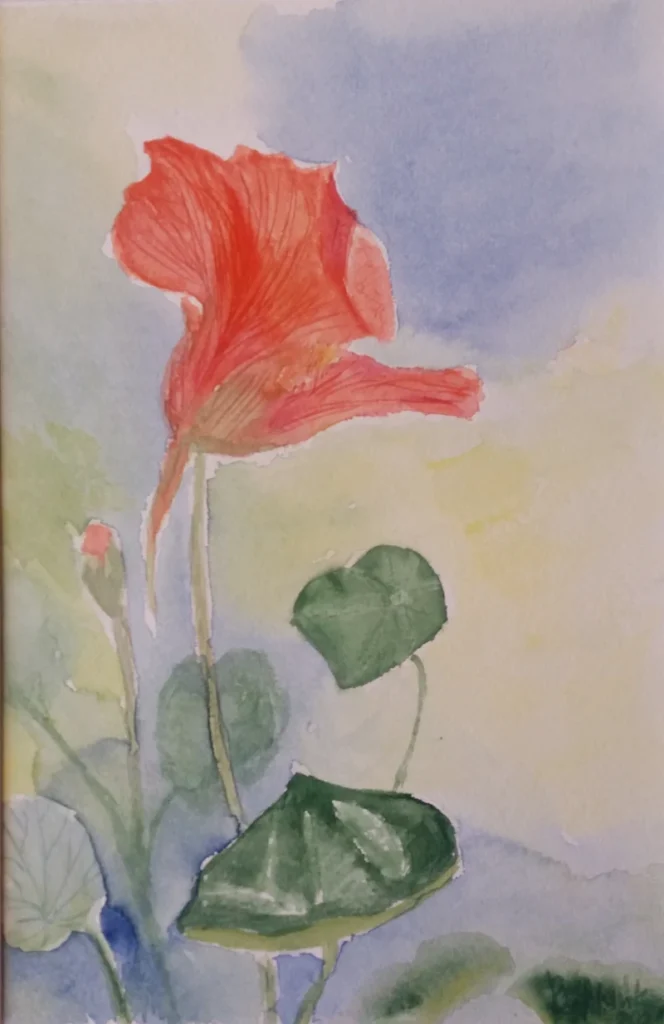 akwarela Nasturcja, 2022 Bożena Mańk